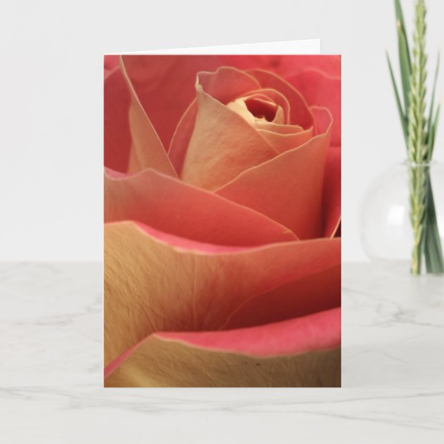 Cartes Pour Fêtes Annuelles Rose amoureux (Devant)