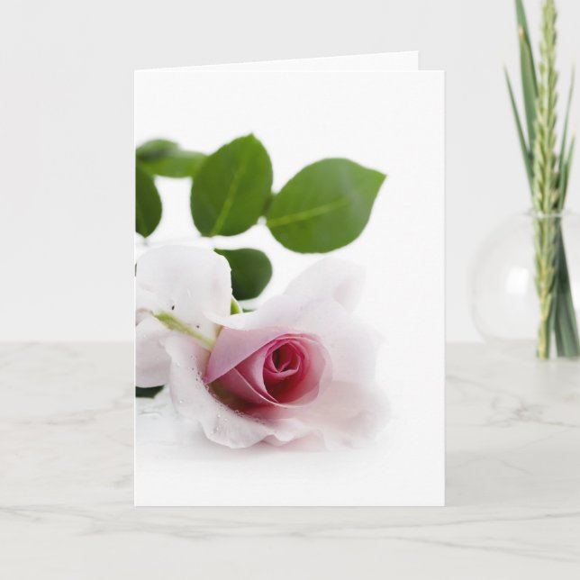 Cartes Pour Fêtes Annuelles Rose blanche (Devant)
