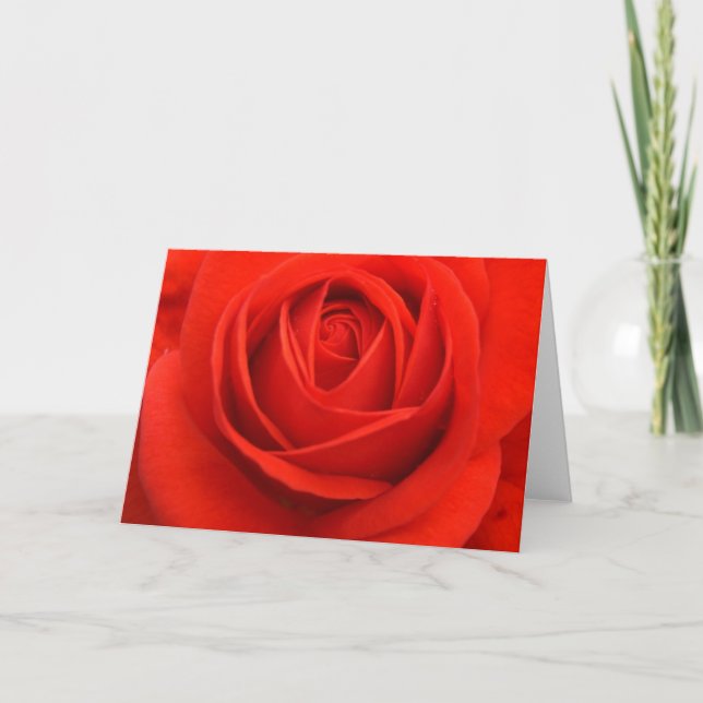 Cartes Pour Fêtes Annuelles Rose cards (Devant)