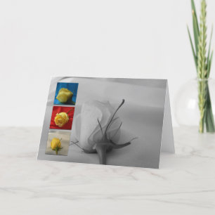 Cartes Pour Fêtes Annuelles Rose Carte-Blanc de Saint-Valentin
