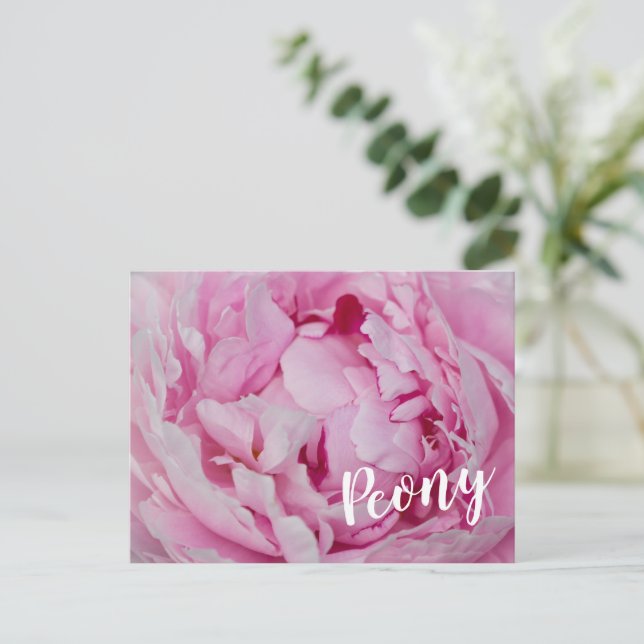 Cartes Pour Fêtes Annuelles Rose de fleurs de pivoine pour fleurs et amoureux  (Debout devant)