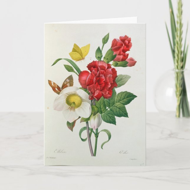 Cartes Pour Fêtes Annuelles Rose de Noël, Helleborus Niger (Devant)