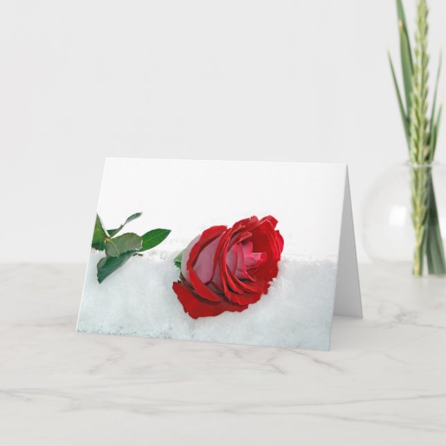 Cartes Pour Fêtes Annuelles Rose de Winter (Devant)