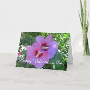 Cartes Pour Fêtes Annuelles Rose rose rose de Sharon Photo Saint Valentin