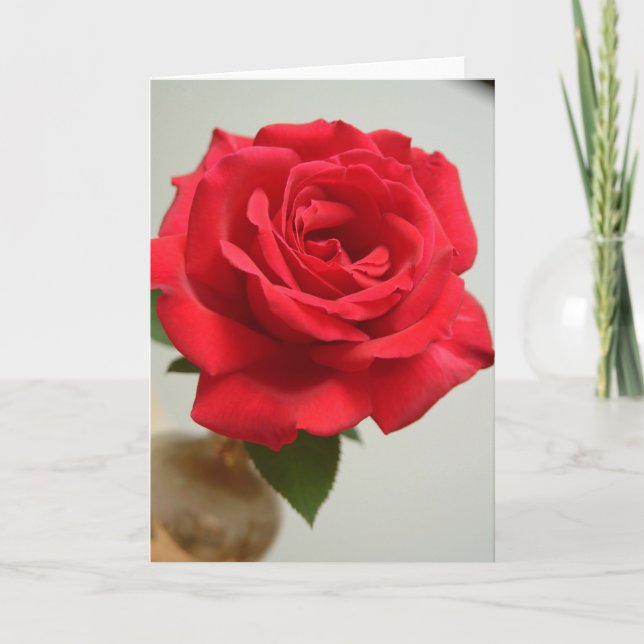 Cartes Pour Fêtes Annuelles rose rouge (Devant)