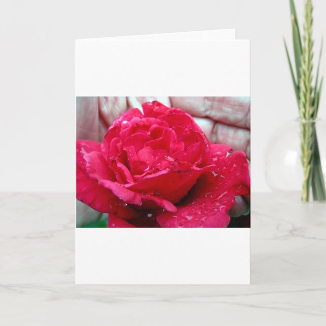 Cartes Pour Fêtes Annuelles Rose rouge (Devant)