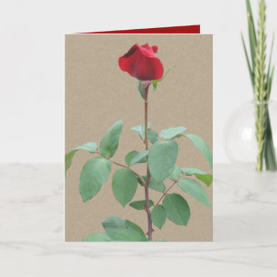 Cartes Pour Fêtes Annuelles Rose rouge à tige longue