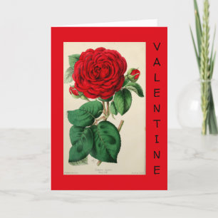 Cartes Pour Fêtes Annuelles Rose Rouge Art Floral Élégant Vintage pour la Sain