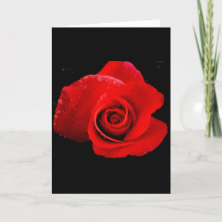 Cartes Pour Fêtes Annuelles Rose Rouge Rouge