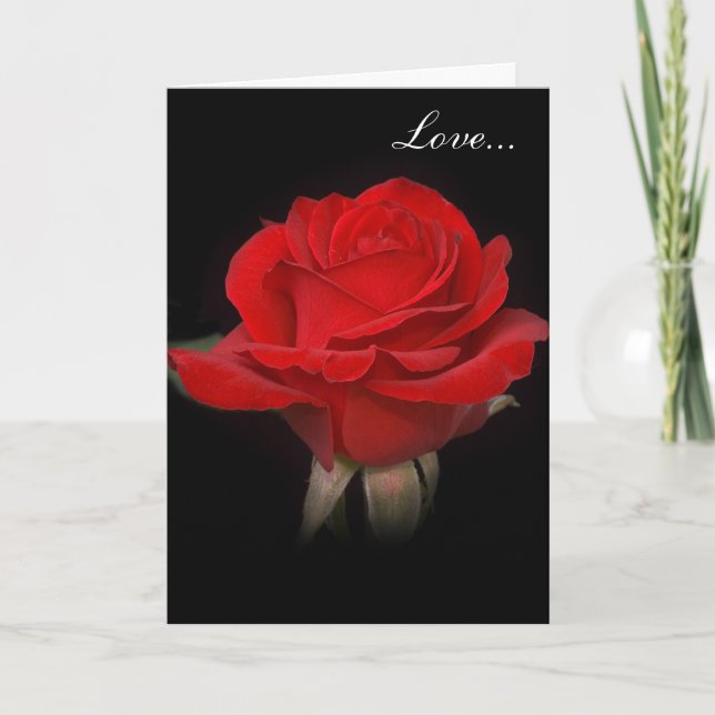 Cartes Pour Fêtes Annuelles Rose très rouge "Amour" (Devant)