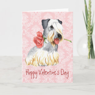 Cartes Pour Fêtes Annuelles Rose Valentin Cesky Terrier