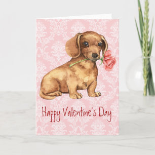 Cartes Pour Fêtes Annuelles Rose Valentin Dachshund