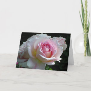 Cartes Pour Fêtes Annuelles Rose Valentine