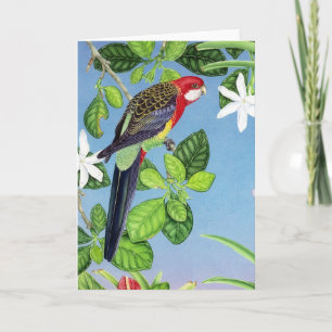 Cartes Pour Fêtes Annuelles Rosella oriental