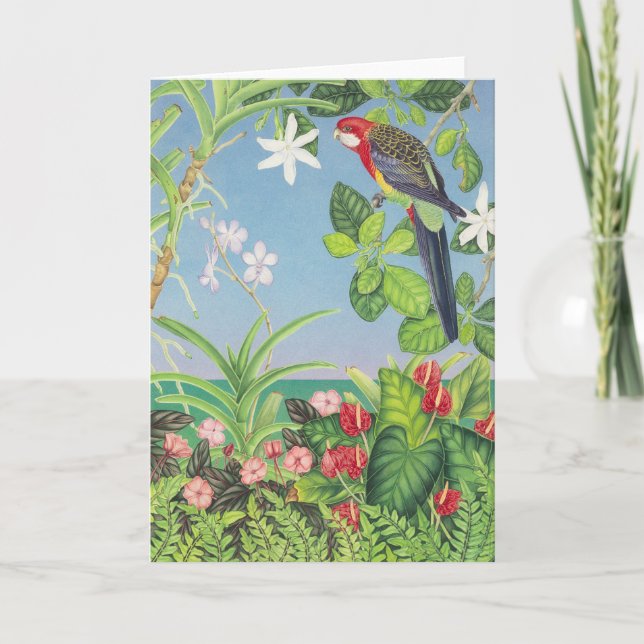 Cartes Pour Fêtes Annuelles Rosella oriental (Devant)