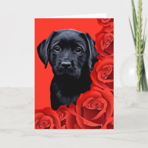 Cartes Pour Fêtes Annuelles Roses de marionnettes Valentine - Labrador - Black
