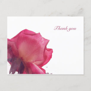 Cartes Pour Fêtes Annuelles Roses roses. Illustration florale