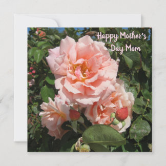 Cartes Pour Fêtes Annuelles Roses roses pour maman