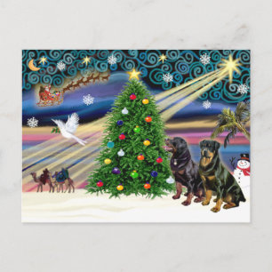 Cartes Pour Fêtes Annuelles Rottweilers magiques de Noël (deux)