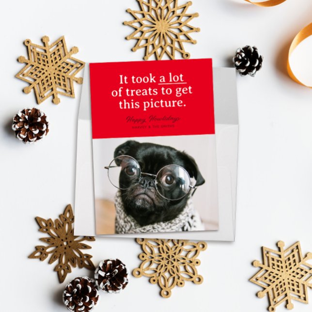 Cartes Pour Fêtes Annuelles Rouge Beaucoup de soins Happy Howlidays Funny Pet (Funny pet photo holiday card reads "it took a lot of treats to get this picture" on a block of red)