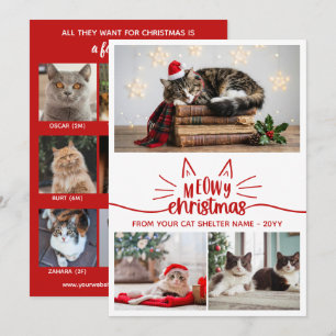 Cartes Pour Fêtes Annuelles Rouge Blanc Refuge pour Chats Photos Meowy Noël