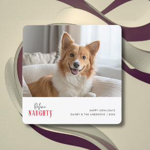 Cartes Pour Fêtes Annuelles Rouge Définir Naughty Funny Chien de Noël Animaux 