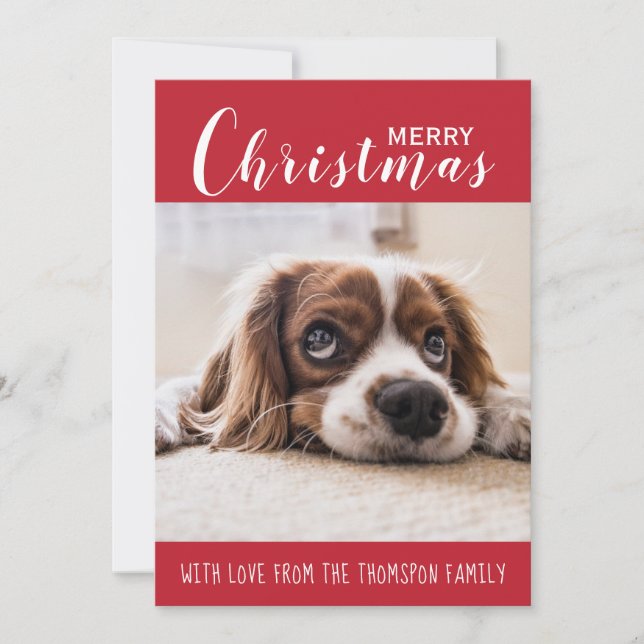 Cartes Pour Fêtes Annuelles Rouge| Family Pet Photo| Joyeux Noël (Devant)