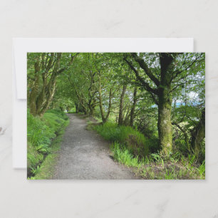 Cartes Pour Fêtes Annuelles Route de bois sur l'île de Bute Scotland sur une