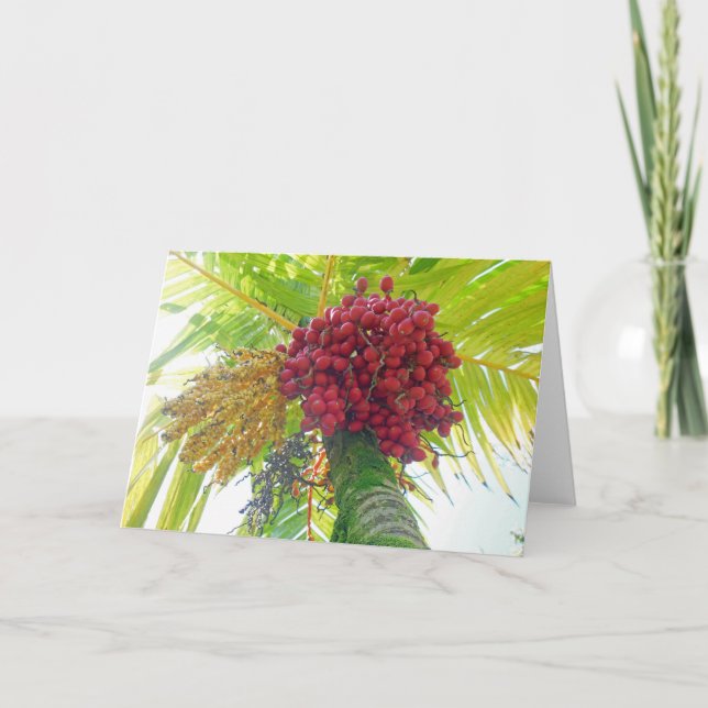 Cartes Pour Fêtes Annuelles Royal Palm Fruit (Devant)