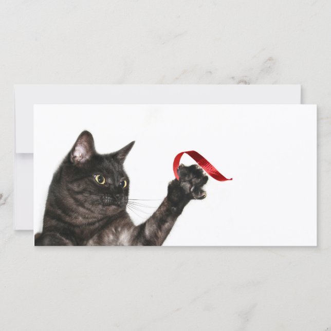 Cartes Pour Fêtes Annuelles Ruban de Noël de chat (Devant)