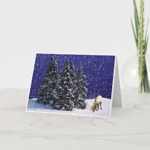 Cartes Pour Fêtes Annuelles Rudolf le renne