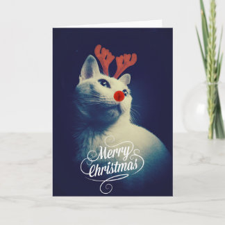 Cartes Pour Fêtes Annuelles Rudolph Christmas Kitty Card