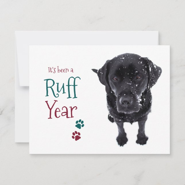 Cartes Pour Fêtes Annuelles Ruff Year Funky Black Labrador Christmas Pandemic (Devant)
