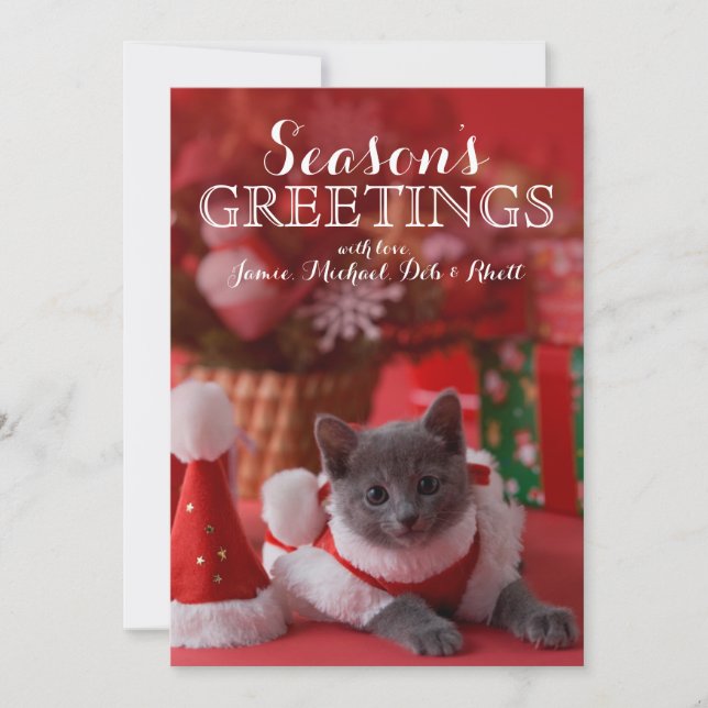Cartes Pour Fêtes Annuelles Russian Blue Kitten et Christmas (Devant)