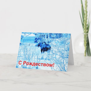 Cartes Pour Fêtes Annuelles S Rozhdestvom (С Р о ж д е с  de l'т urbaine