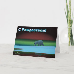 Cartes Pour Fêtes Annuelles S Rozhdestvom - Ours polaires Lumières polaires