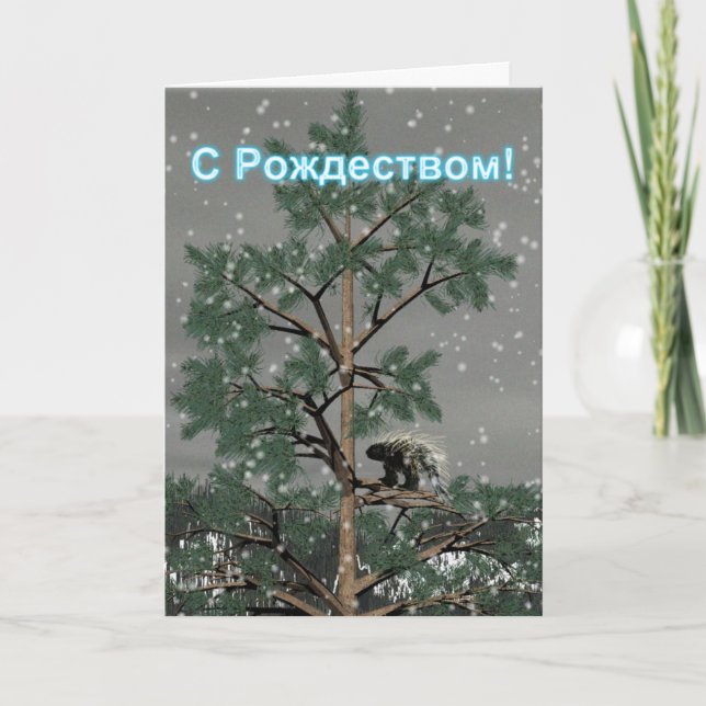 Cartes Pour Fêtes Annuelles S Rozhdestvom - Porcupine Dans Un Arbre À Pins (Devant)