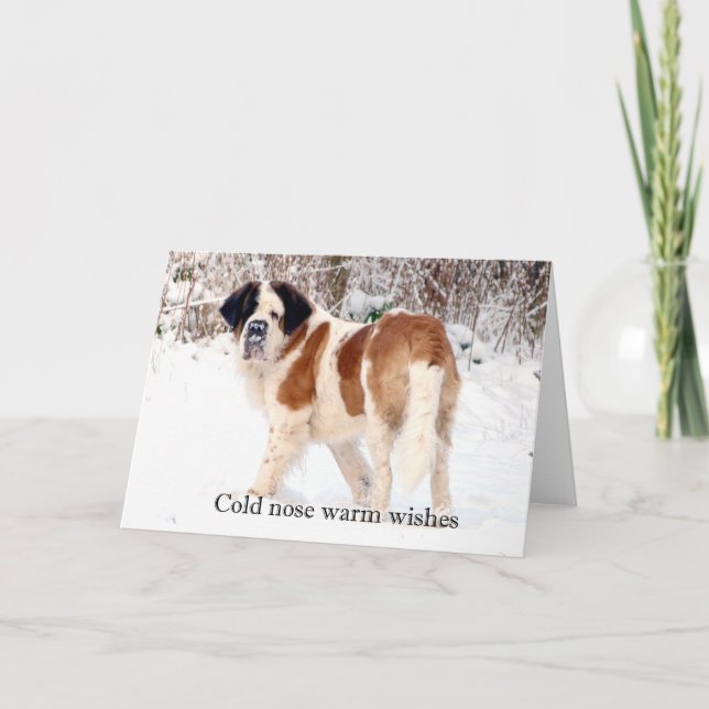 Cartes Pour Fêtes Annuelles Saint Bernard neige photographique voeux de Noël (Devant)