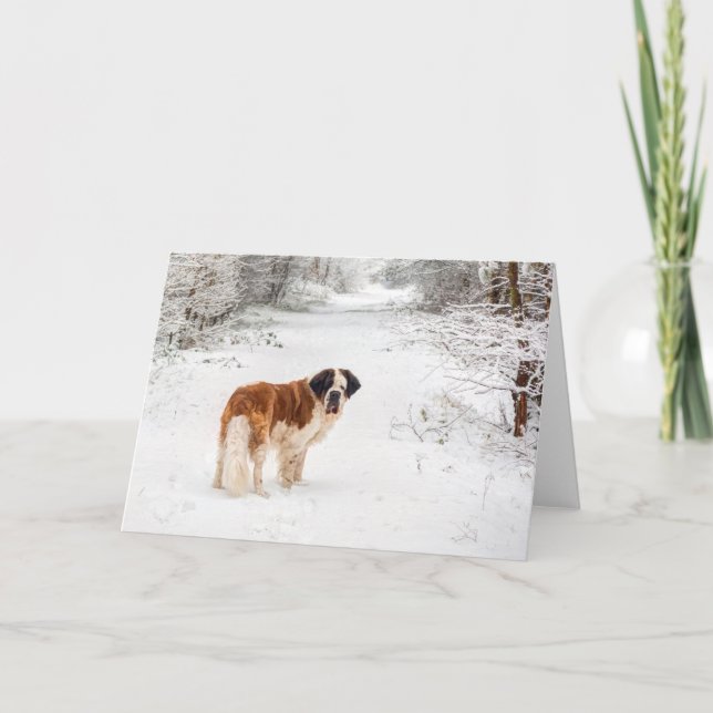 Cartes Pour Fêtes Annuelles Saint Bernard neige photographique voeux de Noël (Devant)