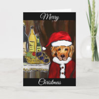 SAINT-BERNARD RETRIEVER NOËL