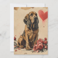 Saint-Hubert vintage Saint-Valentin 