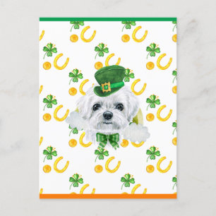 Cartes Pour Fêtes Annuelles Saint-Patricks, Shamrock maltais