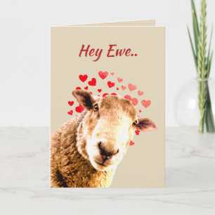Cartes Pour Fêtes Annuelles Saint-Valentin Amour Ewe Amusant Humour animal mou