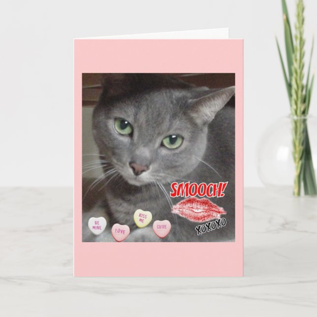 Cartes Pour Fêtes Annuelles Saint Valentin Chat bleu russe gris (Devant)