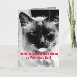 Cartes Pour Fêtes Annuelles Saint Valentin Chat drôle pour les amis