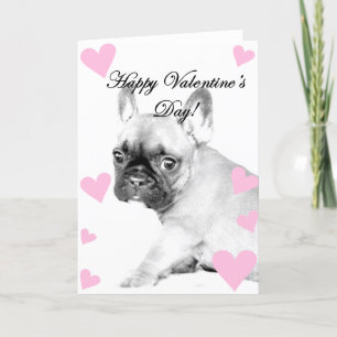 Cartes Pour Fêtes Annuelles Saint Valentin Chien de France