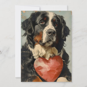 Cartes Pour Fêtes Annuelles Saint Valentin, chien de montagne bernois