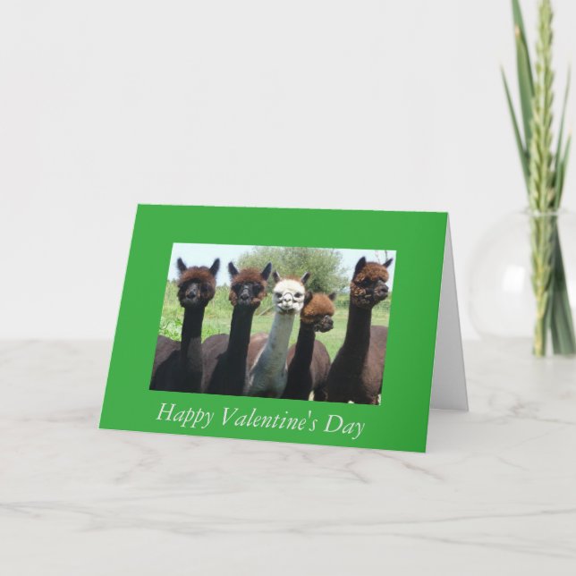 Cartes Pour Fêtes Annuelles Saint-Valentin d'alpaga (Devant)