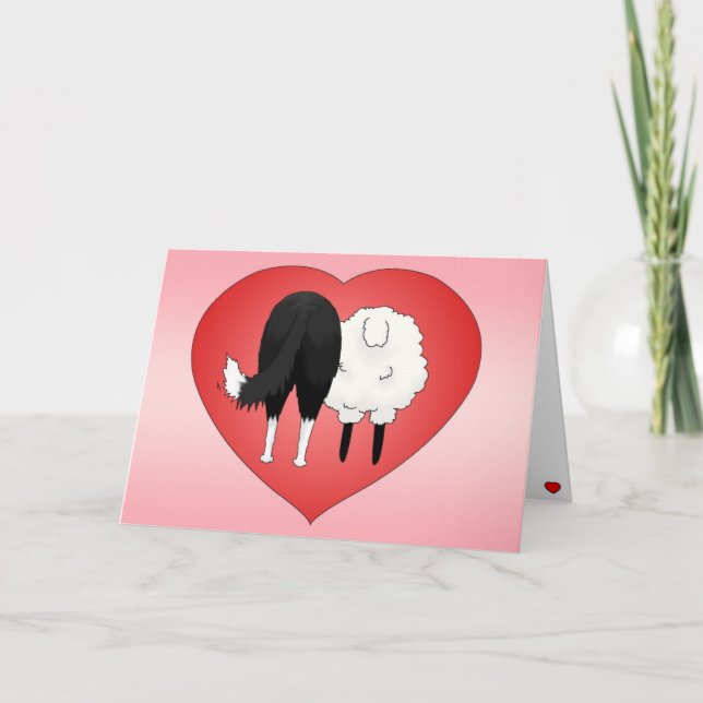 Cartes Pour Fêtes Annuelles Saint-Valentin de border collie (Devant)