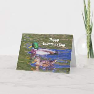 Cartes Pour Fêtes Annuelles Saint-Valentin de canards de Mallard